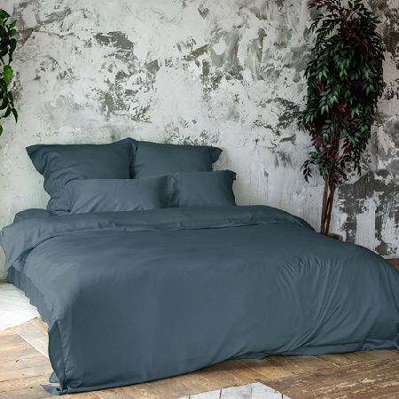 Комплект постельного белья Shiny Thunder 300 ТС