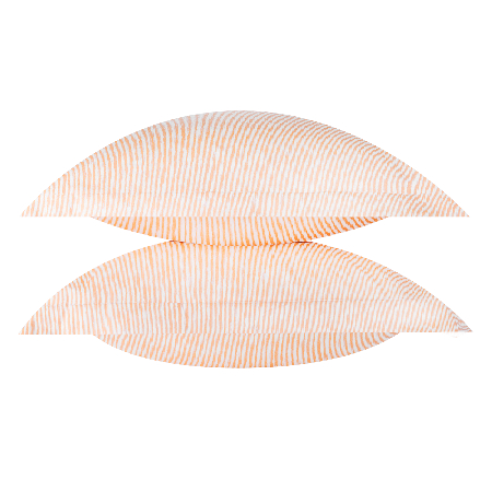 Набор наволочек Аврора 200 TC limited Б