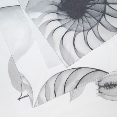 Скатерть столовая Радиография