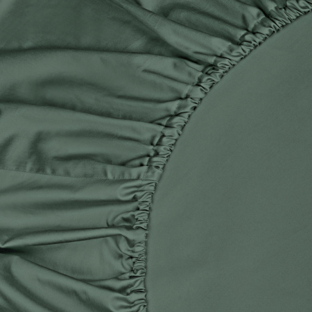 Простыня Shiny Pine 300 ТС на резинке