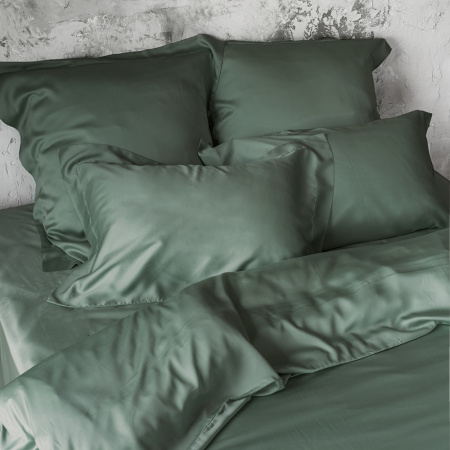 Комплект постельного белья Shiny Pine 300 ТС