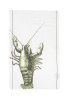 Комплект полотенец столовых Crayfish