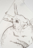 Комплект полотенец столовых Rabbit