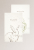Комплект полотенец столовых Rabbit