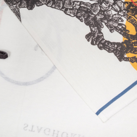 Набор полотенец столовых Modern Coral